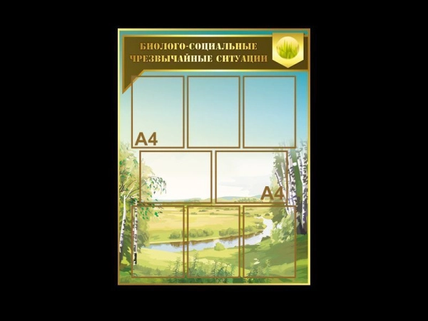 Стенд ГО и ЧС Биолого-социальные чрезвычайные ситуации для размещения в кабинете ОБЖ