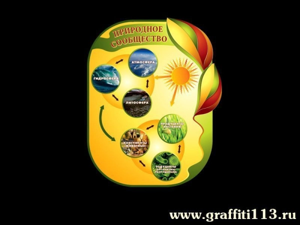 Оформление кабинета биологии