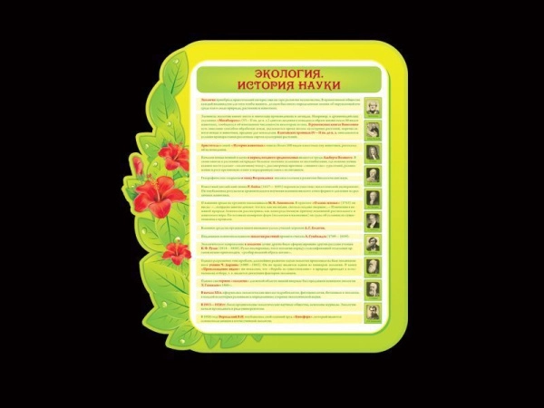 Стенды по экологии для размещения в школе.