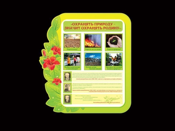 Стенд по экологии с общей информацией