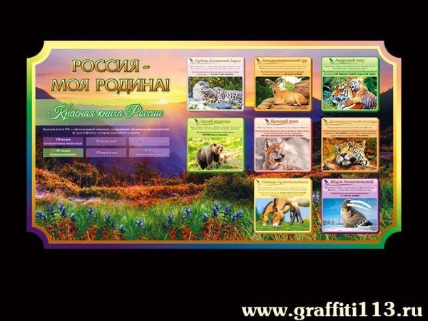 Школьный стенды о России - Красная книга России, повествует о животных, находящихся на грани исчезновения и занесенные в красную книгу