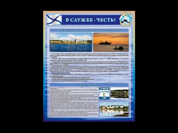 Наглядное пособие В службе честь, для оформления класса начальной военной подготовки