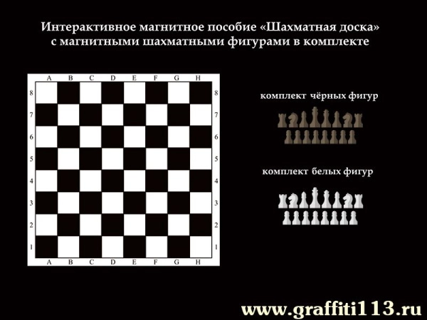Магнитный интерактивный стенд Шахматы, большого размера, с магнитными фигурами в комплекте