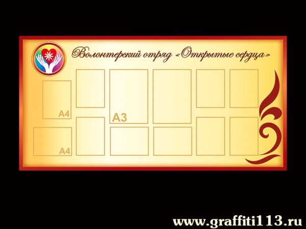 Волонтёрский отряд