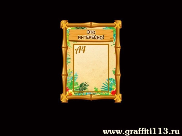 Красочный стенд с одним карманом А4 в тропическом стиле