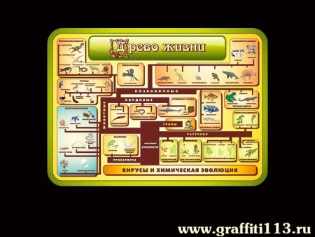 Стенд по биологии Древо жизни, горизонтальный, арт. БИО-040