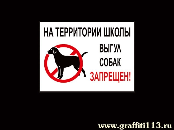 Выгул собак запрещён - школа