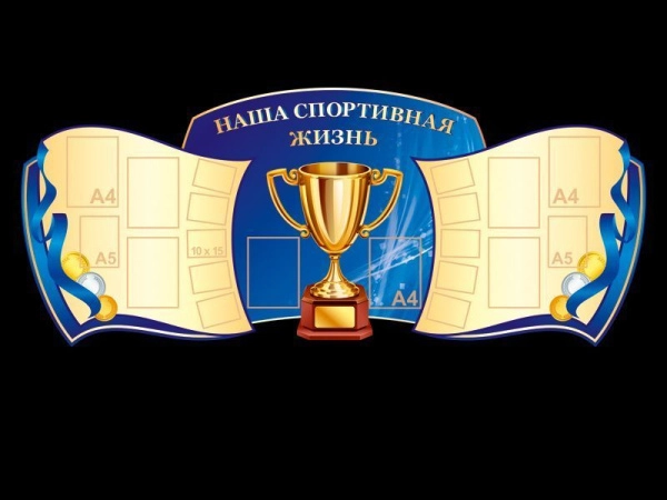 Спортивный стенд для школы, арт. СЗ-032