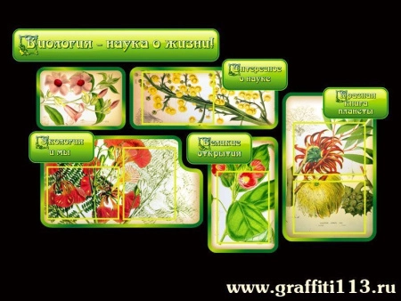 Стенд Биология - наука о жизни, арт. БИО-001