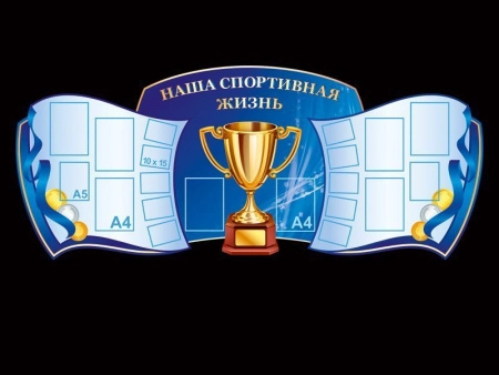 Школьный спортивный стенд, арт. СЗ-033