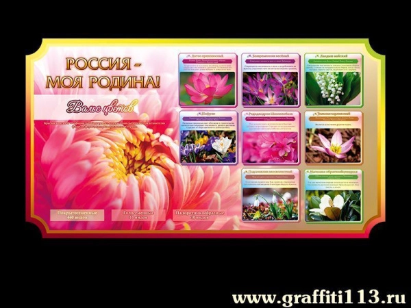 Наглядные пособия по Географии