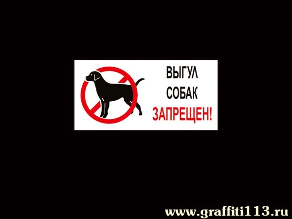 Выгул собак запрещён - школа