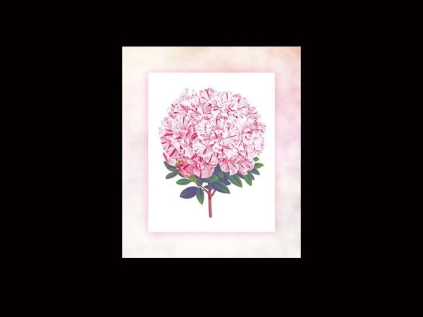 Постер для интерьера Азалии