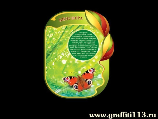 Стенд Биосфера для размещения в кабинете биологии в школе.