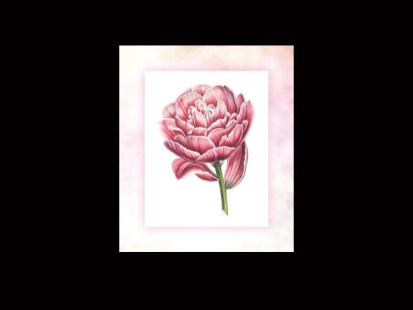 Постер интерьерный Тюльпан для декорирования помещений