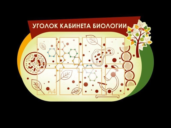 Уголок кабинета биологии с карманами для размещения информации на листах А4