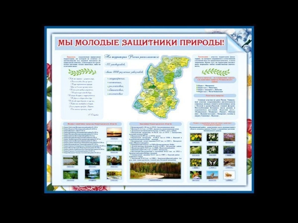 Экологический стенд о природе и охраняемых зонах