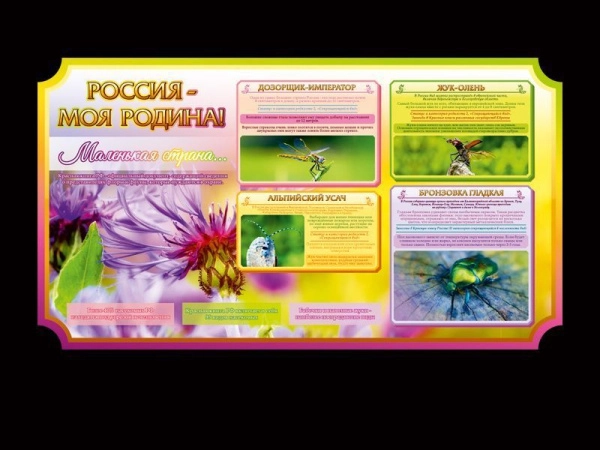 Школьный стенд о России - Маленькая страна, повествует своему читателю об исчезающих видах насекомых, которые обитают на территории России