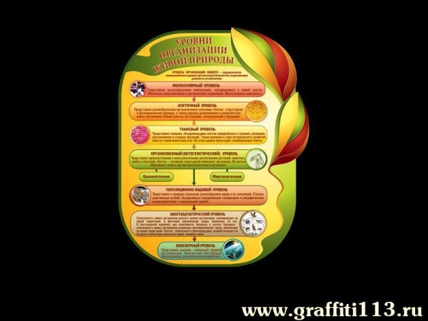 Оформление кабинета биологии