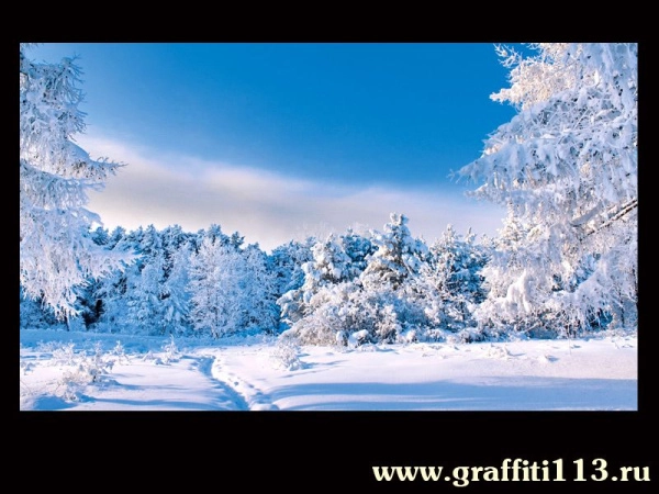 Школьные праздничные баннеры