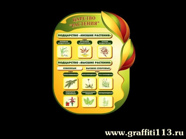 Оформление кабинета биологии с наглядной информацией, для оформления кабинета биологии