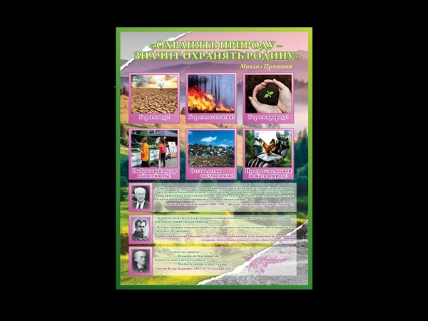 Наглядное пособие по экологии для школы, о важных действиях, направленных на защиту и сбережение окружающей среды