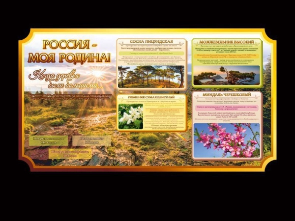 Школьный стенд о России - Когда деревья были большими... Стенд рассказывает о редких породах деревьев произрастающих на территории России.