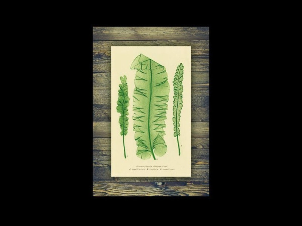 Декоративный постер для интерьера в ретростиле, подойдёт для размещения в офисе, квартире или в школе