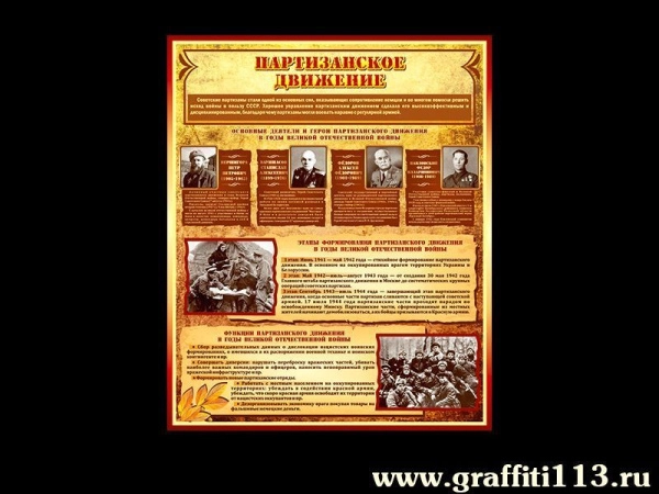 Партизанское движение