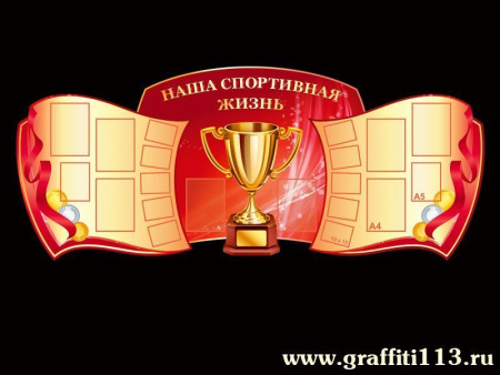 Оформление спортзала, арт. СЗ-002