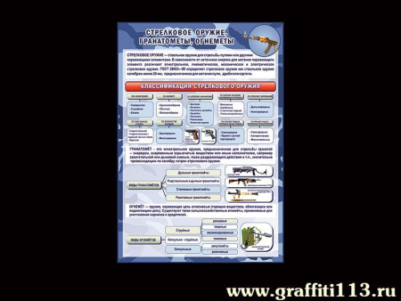 Наглядное пособие Стрелковое оружие, арт. НП-4204